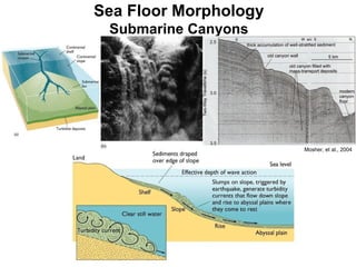 Sea Floor Morphology Submarine Canyons Mosher, et al., 2004 