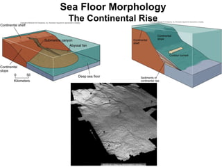 Sea Floor Morphology The Continental Rise 