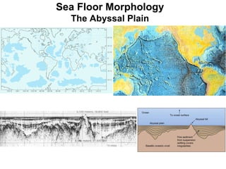 Sea Floor Morphology The Abyssal Plain 