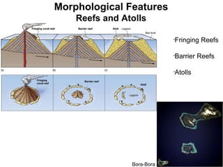 Morphological Features Reefs and Atolls Bora-Bora Fringing Reefs Barrier Reefs Atolls 