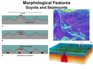 Morphological Features Guyots and Seamounts 