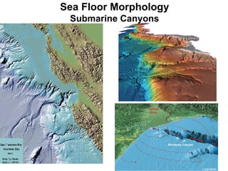 Sea Floor Morphology Submarine Canyons 