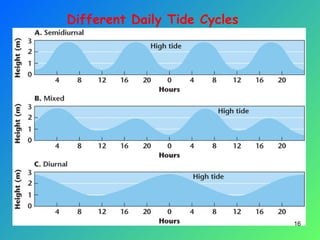 16
Different Daily Tide Cycles
 