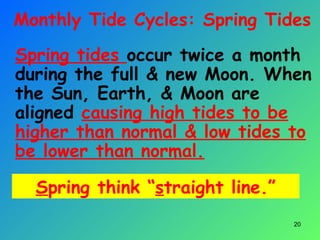 Spring tides occur twice a month
during the full & new Moon. When
the Sun, Earth, & Moon are
aligned causing high tides to be
higher than normal & low tides to
be lower than normal.
20
Monthly Tide Cycles: Spring Tides
Spring think “straight line.”
 