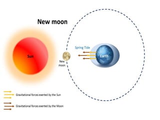 IMPACTS OF WEATHER
AND CLIMATE
• Warm-water currents and
cold-water currents affect
weather and climate in
different ways
• Regions near warm-water
currents are often warmer
and wetter than regions
near cold-water currents
 