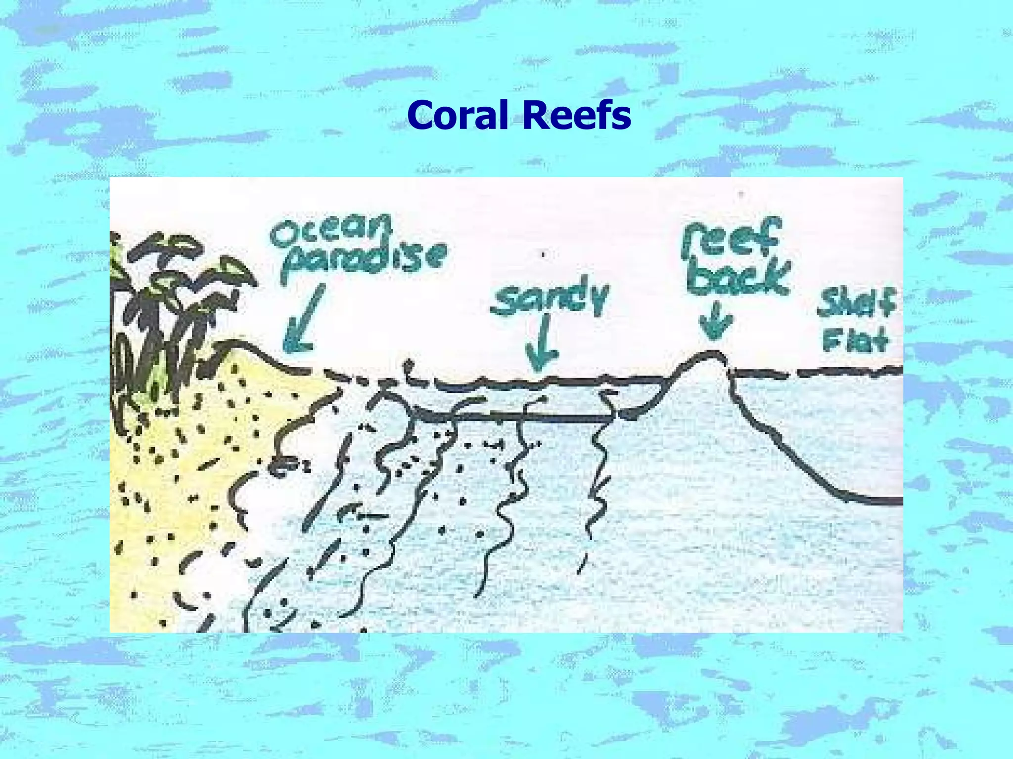 Coral Reefs 