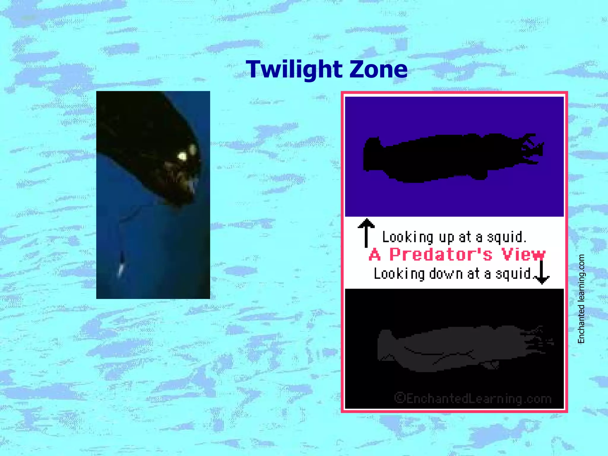 Twilight Zone Enchanted learning.com 