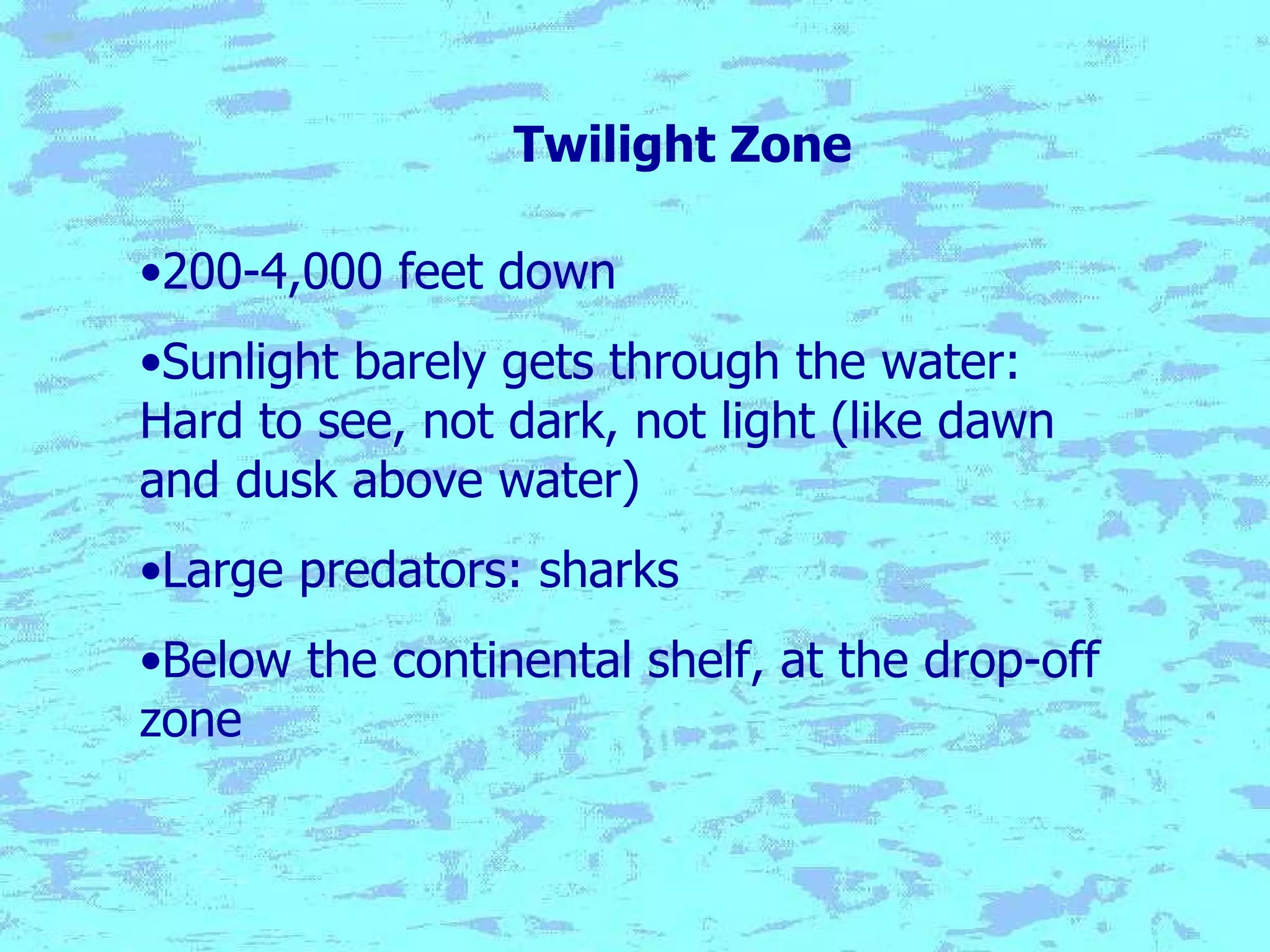Twilight Zone 200-4,000 feet down Sunlight barely gets through the water:  Hard to see, not dark, not light (like dawn and dusk above water) Large predators: sharks Below the continental shelf, at the drop-off zone 