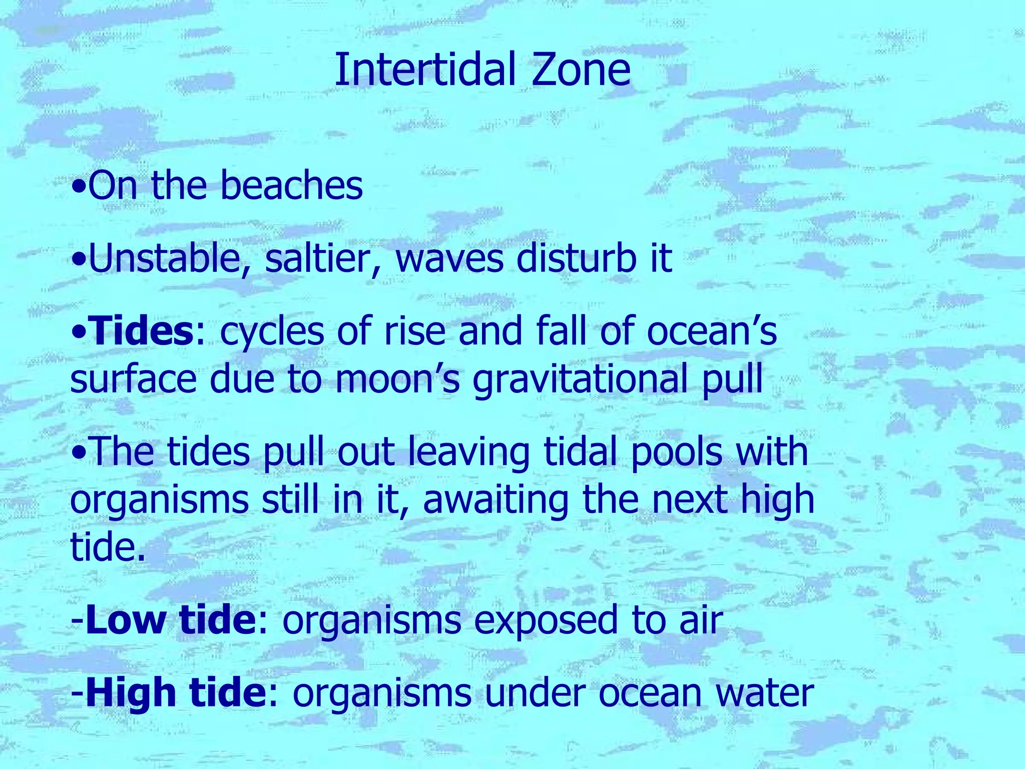 Intertidal Zone On the beaches Unstable, saltier, waves disturb it Tides : cycles of rise and fall of ocean’s surface due to moon’s gravitational pull The tides pull out leaving tidal pools with organisms still in it, awaiting the next high tide. - Low tide : organisms exposed to air - High tide : organisms under ocean water 