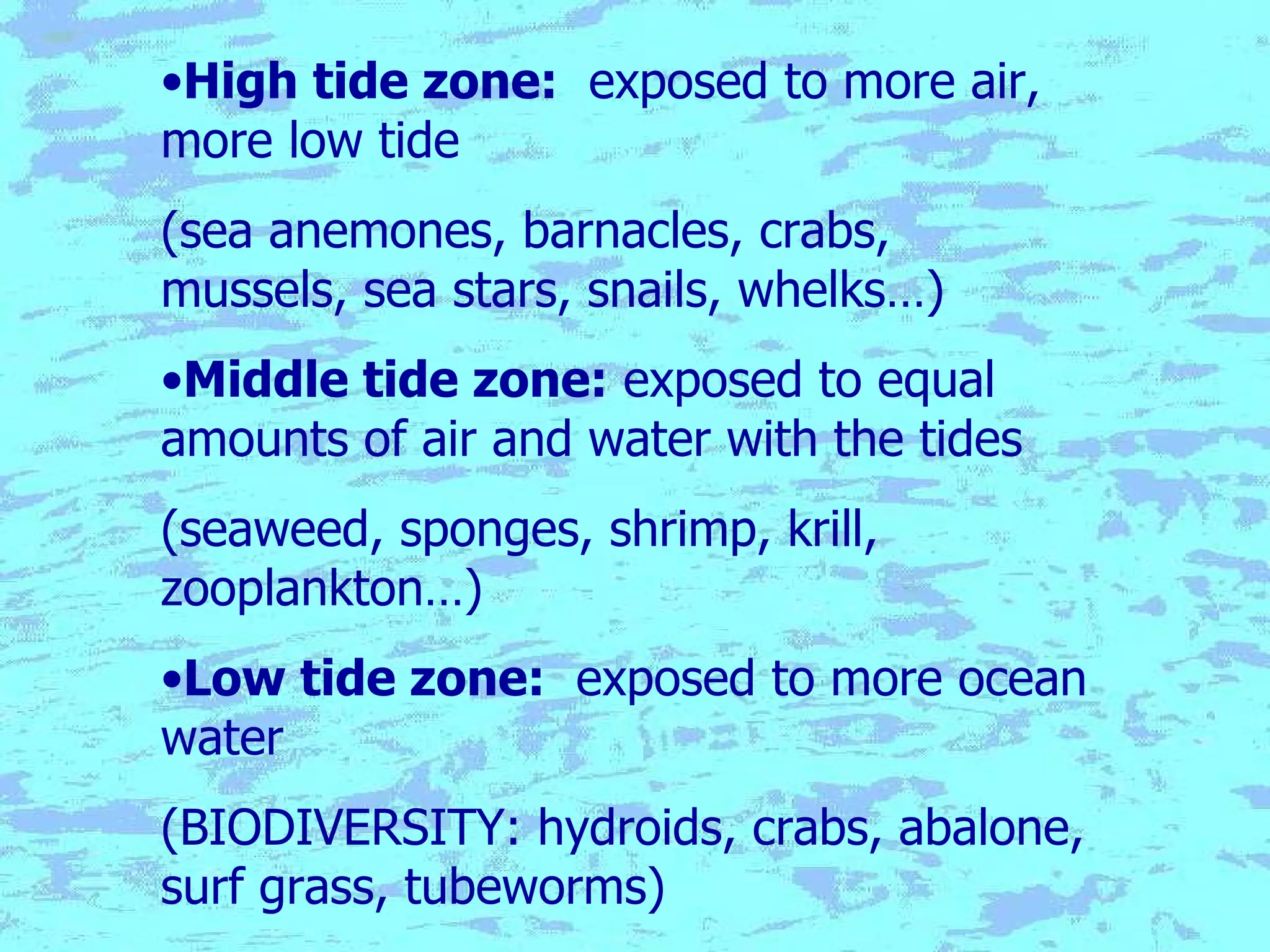 High tide zone:   exposed to more air, more low tide (sea anemones, barnacles, crabs, mussels, sea stars, snails, whelks…) Middle tide zone:  exposed to equal amounts of air and water with the tides (seaweed, sponges, shrimp, krill, zooplankton…) Low tide zone:   exposed to more ocean water (BIODIVERSITY: hydroids, crabs, abalone, surf grass, tubeworms) 