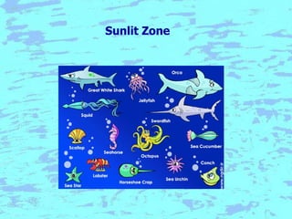 Ocean notes: a comprehensive study on different ocean zones includin…