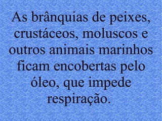 As brânquias de peixes, crustáceos, moluscos e outros animais marinhos ficam encobertas pelo óleo, que impede respiração.  
