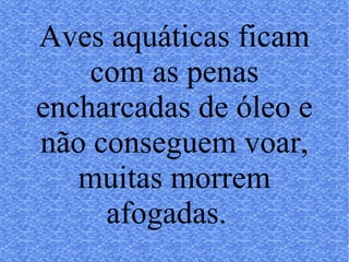 Aves aquáticas ficam com as penas encharcadas de óleo e não conseguem voar, muitas morrem afogadas.  