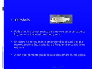 O Robalo  Pode atingir o comprimento de 1 metro e pesar cerca de 12 kg, tem uma idade máxima de 15 anos.Encontra-se normalmente em profundidades até aos 100 metros, prefere água agitada, e é frequente encontrá-lo na espuma  A principal alimentação do robalo são camarões, moluscos.Ana Ramos   Nº3  7º A5