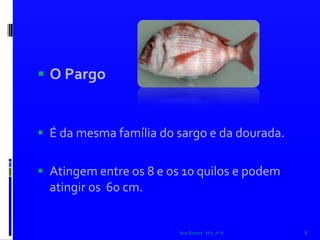 O Pargo  É da mesma família do sargo e da dourada.Atingem entre os 8 e os 10 quilos e podem atingir os  60 cm. Ana Ramos   Nº3  7º A8
