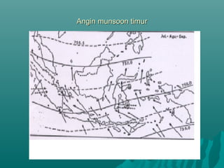 Angin munsoon timur
 