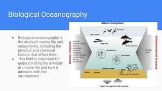 Biological Oceanography
● Biological oceanography is
the study of marine life and
ecosystems, including the
physical and chemical
factors that affect them.
● This ﬁeld is important for
understanding the diversity
of marine life and how it
interacts with the
environment.
 