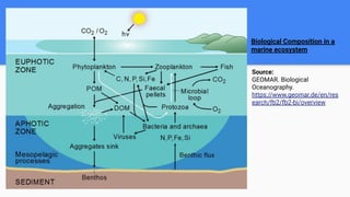 Source:
GEOMAR. Biological
Oceanography.
https://www.geomar.de/en/res
earch/fb2/fb2-bi/overview
Biological Composition in a
marine ecosystem
 