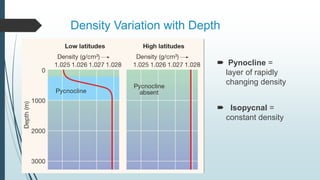 Density Variation with Depth
 Pynocline =
layer of rapidly
changing density
 Isopycnal =
constant density
 