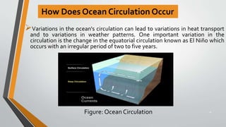 How Does Ocean Circulation Occur
Variations in the ocean's circulation can lead to variations in heat transport
and to variations in weather patterns. One important variation in the
circulation is the change in the equatorial circulation known as El Niño which
occurs with an irregular period of two to five years.
Figure: Ocean Circulation 16
 