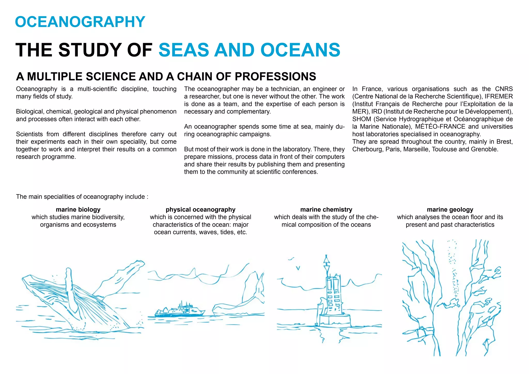 OCEANOGRAPHY
THE STUDY OF SEAS AND OCEANS
A MULTIPLE SCIENCE AND A CHAIN OF PROFESSIONS
Oceanography is a multi-scientific discipline, touching
many fields of study.
Biological, chemical, geological and physical phenomenon
and processes often interact with each other.
Scientists from different disciplines therefore carry out
their experiments each in their own speciality, but come
together to work and interpret their results on a common
research programme.
The oceanographer may be a technician, an engineer or
a researcher, but one is never without the other. The work
is done as a team, and the expertise of each person is
necessary and complementary.
An oceanographer spends some time at sea, mainly du-
ring oceanographic campaigns.
But most of their work is done in the laboratory. There, they
prepare missions, process data in front of their computers
and share their results by publishing them and presenting
them to the community at scientific conferences.
In France, various organisations such as the CNRS
(Centre National de la Recherche Scientifique), IFREMER
(Institut Français de Recherche pour l’Exploitation de la
MER), IRD (Institut de Recherche pour le Développement),
SHOM (Service Hydrographique et Océanographique de
la Marine Nationale), MÉTÉO-FRANCE and universities
host laboratories specialised in oceanography.
They are spread throughout the country, mainly in Brest,
Cherbourg, Paris, Marseille, Toulouse and Grenoble.
marine biology
which studies marine biodiversity,
organisms and ecosystems
marine chemistry
which deals with the study of the che-
mical composition of the oceans
physical oceanography
which is concerned with the physical
characteristics of the ocean: major
ocean currents, waves, tides, etc.
marine geology
which analyses the ocean floor and its
present and past characteristics
The main specialities of oceanography include :
 