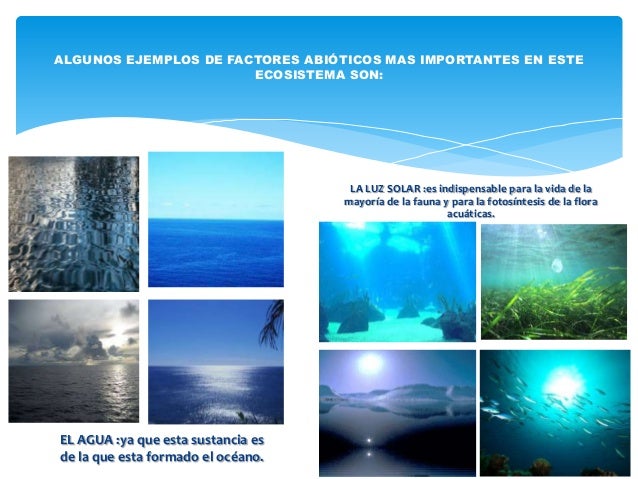 Oceano pacifico