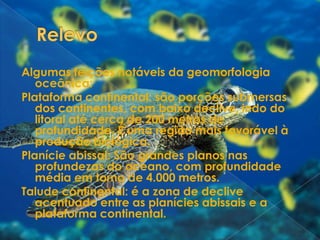 RelevoAlgumas feições notáveis da geomorfologia oceânica:Plataforma continental: são porções submersas dos continentes, com baixo declive, indo do litoral até cerca de 200 metros de profundidade. É uma região mais favorável à produção biológica. Planície abissal: São grandes planos nas profundezas do oceano, com profundidade média em torno de 4.000 metros. Talude continental: é a zona de declive acentuado entre as planícies abissais e a plataforma continental. 