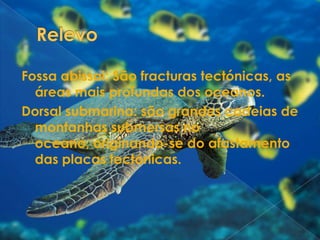 RelevoFossa abissal: São fracturas tectónicas, as áreas mais profundas dos oceanos. Dorsal submarina: são grandes cadeias de montanhas submersas no oceano, originando-se do afastamento das placas tectónicas. 