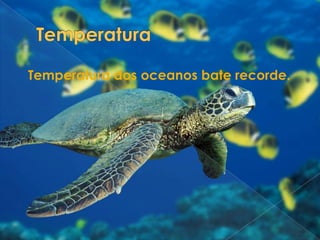 TemperaturaTemperatura dos oceanos bate recorde.