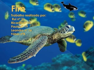 FimTrabalho realizado por: Rui nº 21Ricardo nº 12Paulo nº 19Leandro nº 16Fábio nº8