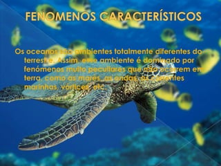 FENOMENOS CARACTERÍSTICOSOs oceanos são ambientes totalmente diferentes do terrestre. Assim, esse ambiente é dominado por fenómenos muito peculiares que não ocorrem em terra, como as marés, as ondas, as correntes marinhas, vórtices, etc.
