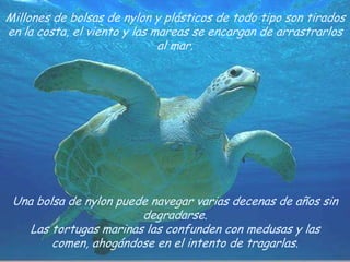 Millones de bolsas de nylon y plásticos de todo tipo son tirados en la costa, el viento y las mareas se encargan de arrastrarlos al mar. Una bolsa de nylon puede navegar varias decenas de años sin degradarse.Las tortugas marinas las confunden con medusas y las comen, ahogándose en el intento de tragarlas. 