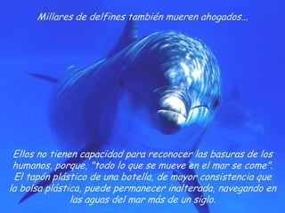 Millares de delfines también mueren ahogados... Ellos no tienen capacidad para reconocer las basuras de los humanos, porque, "todo lo que se mueve en el mar se come".El tapón plástico de una botella, de mayor consistencia que la bolsa plástica, puede permanecer inalterada, navegando en las aguas del mar más de un siglo.