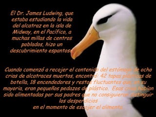 El Dr. James Ludwing, que estaba estudiando la vida del alcatraz en la isla de Midway, en el Pacífico, a muchas millas de centros poblados, hizo un descubrimiento espantoso.Cuando comenzó a recojer el contenido del estómago de ocho crias de alcatraces muertos, encontró: 42 tapas plásticas de botella, 18 encendedores y restos fluctuantes que, en su mayoria, eran pequeños pedazos de plástico.  Esas crias habían sido alimentadas por sus padres que no consiguieran distinguir los desperdiciosen el momento de escojer el alimento.