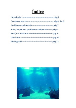Índice
Introdução ---------------------------------------------- pág.3
Oceanos e mares -------------------------------------- pág.4, 5 e 6
Problemas ambientais ------------------------------ pág.7
Soluções para os problemas ambientais------ pág.8
Nota/Curiosidades ---------------------------------- pág.9
Conclusão ---------------------------------------------- pág.10
Bibliografia ------------------------------------------- pág.11
 