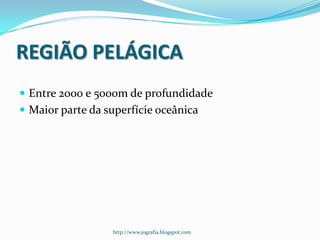 REGIÃO PELÁGICA
 Entre 2000 e 5000m de profundidade
 Maior parte da superfície oceânica

http://www.jografia.blogspot.com

 