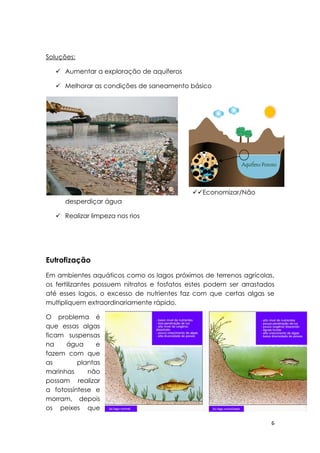 Soluções:

    Aumentar a exploração de aquíferos

    Melhorar as condições de saneamento básico




                                             Economizar/Não
      desperdiçar água

    Realizar limpeza nos rios




Eutrofização
Em ambientes aquáticos como os lagos próximos de terrenos agrícolas,
os fertilizantes possuem nitratos e fosfatos estes podem ser arrastados
até esses lagos, o excesso de nutrientes faz com que certas algas se
multipliquem extraordinariamente rápido.

O problema é
que essas algas
ficam suspensas
na    água      e
fazem com que
as        plantas
marinhas     não
possam realizar
a fotossíntese e
morram, depois
os peixes que

                                                                      6
 