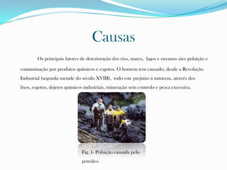 Causas
Os principais fatores de deterioração dos rios, mares, lagos e oceanos são: poluição e
contaminação por produtos químicos e esgotos. O homem tem causado, desde a Revolução
Industrial (segunda metade do século XVIII), todo este prejuízo à natureza, através dos
lixos, esgotos, dejetos químicos industriais, mineração sem controlo e pesca excessiva.
Fig. 1- Poluição causada pelo
petróleo
 