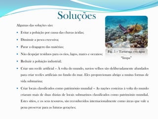 Soluções
Algumas das soluções são:
 Evitar a poluição por causa das chuvas ácidas;
 Diminuir a pesca excessiva;
 Parar a dragagem das matérias;
 Não despejar resíduos para os rios, lagos, mares e oceanos;
 Reduzir a poluição industrial;
 Criar um recife artificial – À volta do mundo, navios velhos são deliberadamente afundados
para criar recifes artificiais no fundo do mar. Eles proporcionam abrigo a muitas formas de
vida submarina;
 Criar locais classificados como património mundial – As nações costeiras à volta do mundo
criaram mais de duas dúzias de locais submarinos classificados como património mundial.
Estes sítios, e os seus tesouros, são reconhecidos internacionalmente como áreas que vale a
pena preservar para as futuras gerações;
Fig. 5 – Tartaruga em água
“limpa”
 