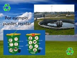 Por ejemplo:
puedes recidar.
 