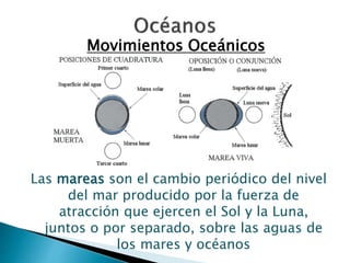 Movimientos Oceánicos 
Las mareas son el cambio periódico del nivel 
del mar producido por la fuerza de 
atracción que ejercen el Sol y la Luna, 
juntos o por separado, sobre las aguas de 
los mares y océanos 
 