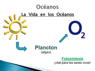 La Vida en los Océanos 
Fotosíntesis 
Plancton 
¡vital para los seres vivos! 
(algas) 
 