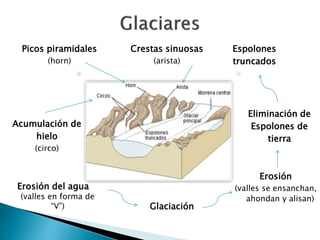 Glaciación 
Espolones 
truncados 
Eliminación de 
Espolones de 
tierra 
Erosión 
(valles se ensanchan, 
ahondan y alisan) 
Picos piramidales 
(horn) 
Acumulación de 
hielo 
(circo) 
Erosión del agua 
(valles en forma de 
“V”) 
Crestas sinuosas 
(arista) 
 