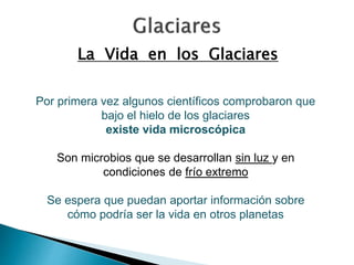 La Vida en los Glaciares 
Por primera vez algunos científicos comprobaron que 
bajo el hielo de los glaciares 
existe vida microscópica 
Son microbios que se desarrollan sin luz y en 
condiciones de frío extremo 
Se espera que puedan aportar información sobre 
cómo podría ser la vida en otros planetas 
 
