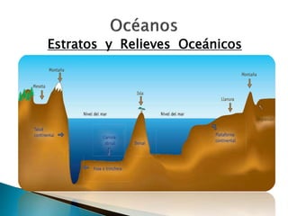Estratos y Relieves Oceánicos 
 