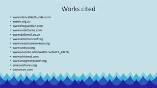 Works cited
• www.silencelikethunder.com
• knswb.org.au
• www.theguardian.com
• www.outerbanks.com
• www.dailymail.co.uk
• www.americanreef.org
• www.oceanconservancy.org
• www.unesco.org
• www.youtube.com/watch?v=R6IP3_aRFtA
• www.pinterest.com
• www.onegreenplanet.org
• saveourshores.org
• deviantart.com
 