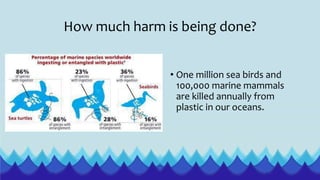 How much harm is being done?
• One million sea birds and
100,000 marine mammals
are killed annually from
plastic in our oceans.
 