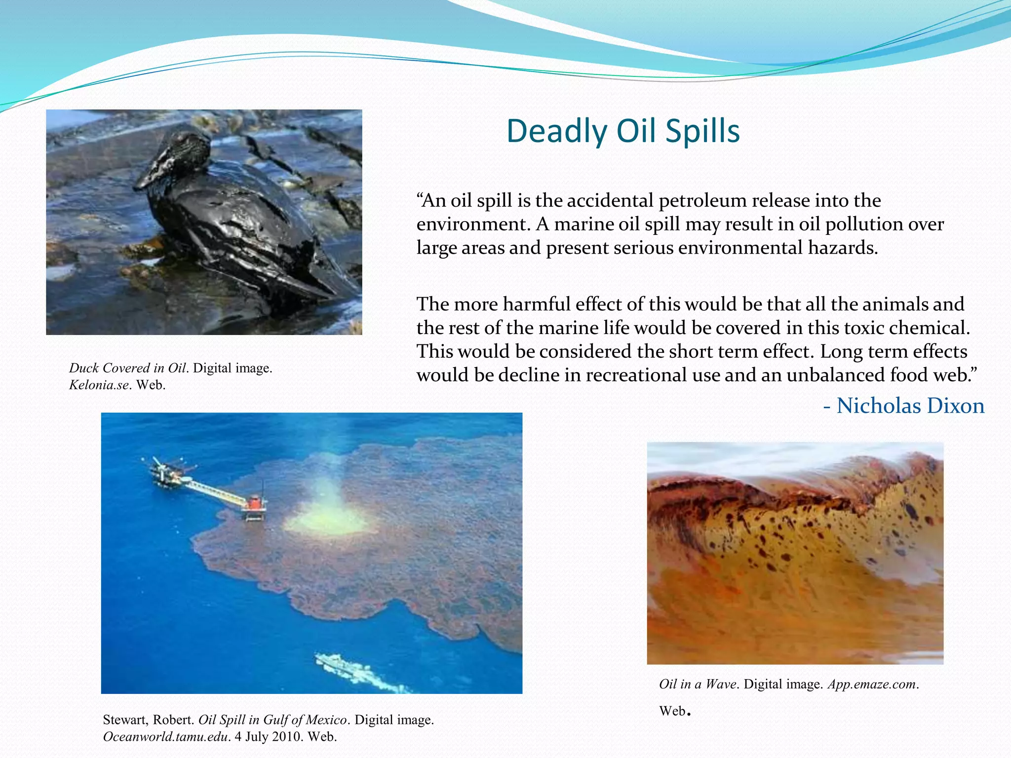 Deadly Oil Spills
“An oil spill is the accidental petroleum release into the
environment. A marine oil spill may result in oil pollution over
large areas and present serious environmental hazards.
The more harmful effect of this would be that all the animals and
the rest of the marine life would be covered in this toxic chemical.
This would be considered the short term effect. Long term effects
would be decline in recreational use and an unbalanced food web.”
- Nicholas Dixon
Stewart, Robert. Oil Spill in Gulf of Mexico. Digital image.
Oceanworld.tamu.edu. 4 July 2010. Web.
Duck Covered in Oil. Digital image.
Kelonia.se. Web.
Oil in a Wave. Digital image. App.emaze.com.
Web.
 