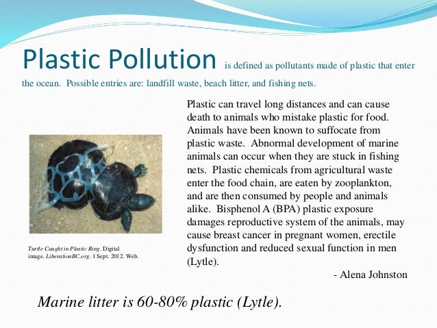 Plastic harms the environment essay