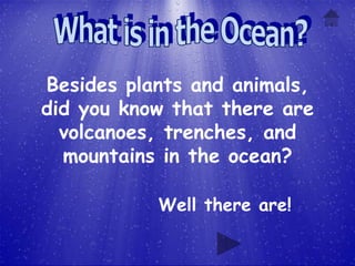 Besides plants and animals,
did you know that there are
  volcanoes, trenches, and
  mountains in the ocean?

           Well there are!
 